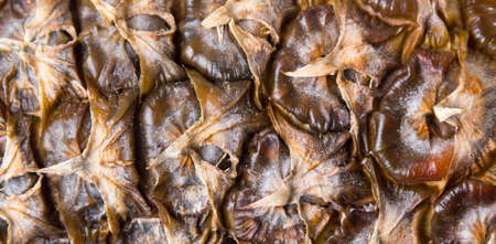 Pineapple fruit shell background pattern close up
