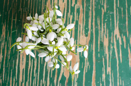 Snowdrops in a glass cup on a  table top viewの写真素材