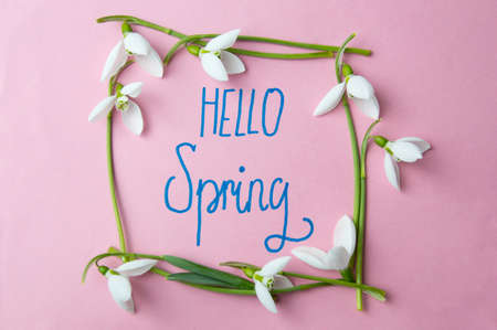 Hello spring calligraphy note with fresh snowdropsの写真素材