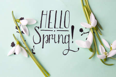 Hello spring calligraphy note with fresh snowdropsの写真素材