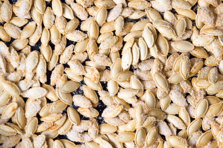 Baked pumpkin seeds covered with salt and flour backgroundの写真素材