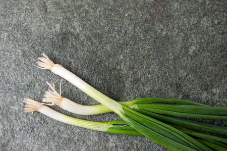 Young green garlic leaves on stone tableの写真素材