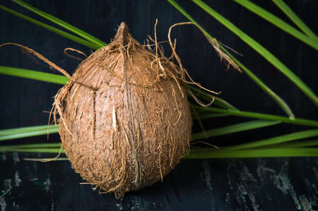 Whole coconut and leaves on black backgroundの写真素材