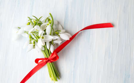 Snowdrops bouquet tied with red ribbon for a romantic presentの写真素材