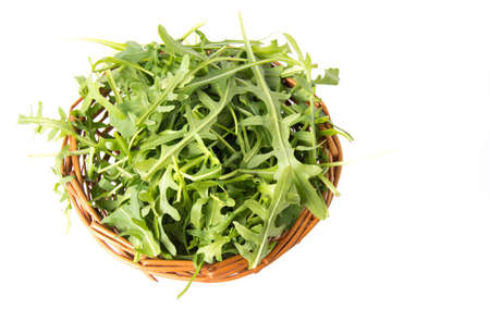 Rucola plant in a wicker bowl isolatedの写真素材