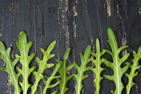 Rucola plant green leaves on a wooden tableの写真素材