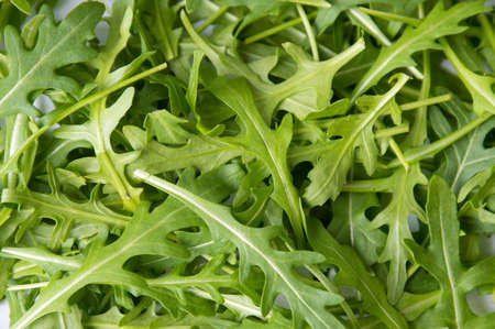 Rucola plant green leaves on a pile backgroundの写真素材