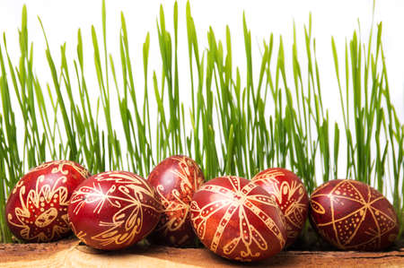 Wax painted Easter eggs and wheat plant