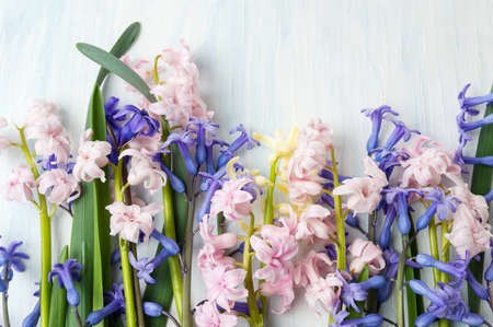 Mixed hyacinth flowers on a wooden tableの写真素材