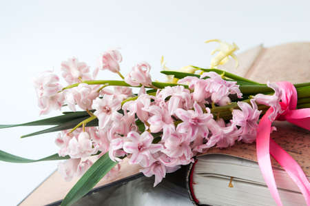 Hyacinth flowers on an open vintage bookの写真素材