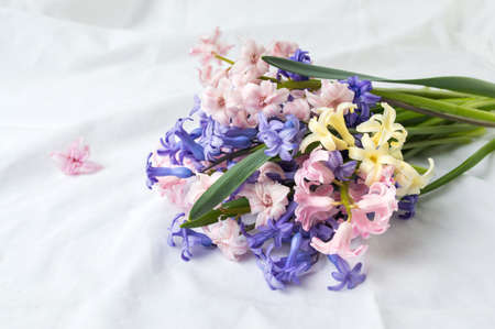 Hyacinth flowers mixed bouquet on white fabricの写真素材