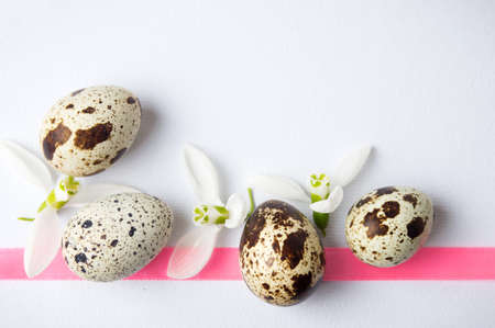 Organic quail eggs and white snowdrop flowersの写真素材