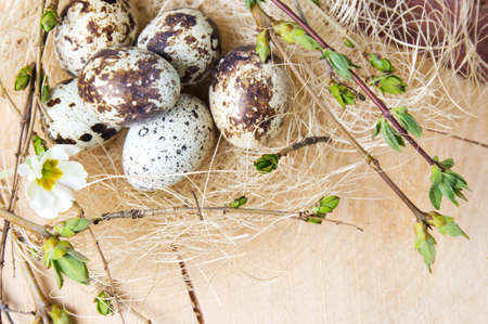 Quail eggs and tree branches in a straw nestの写真素材
