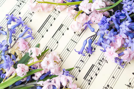 Music note sheet and colorful hyacinth flowersの写真素材