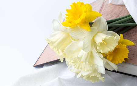 Yellow narcissus flowers on an open vintage bookの写真素材