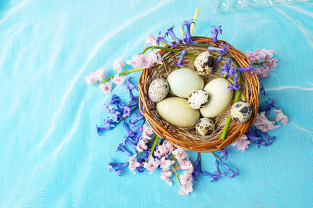 Raw eggs basket and hyacinth flowers in bloom
