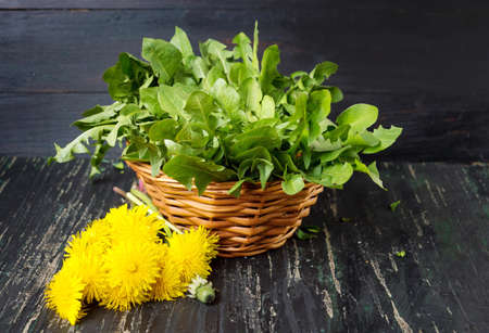 Dandelion leaves and flowers in a basket