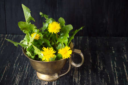 Yellow dandelion flowers in a vintage copper cupの写真素材