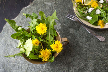 Yellow dandelion flowers in a vintage copper cup isolatedの写真素材