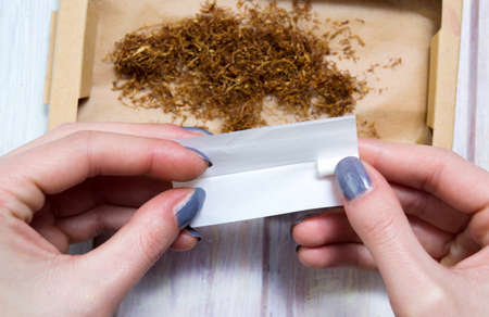 Female hands rolling cigars with dried tobaccoの写真素材