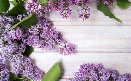 Fresh lilac spring flowers on a wooden tableの写真素材