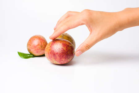 Female hand reaching passion fruit on whiteの写真素材