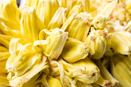 Open jackfruit close up texture. Tropical fruitの写真素材