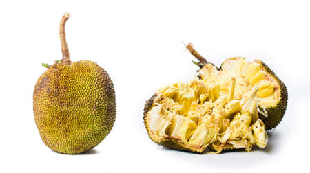 Whole jackfruit isolated on white background. Tropical fruit