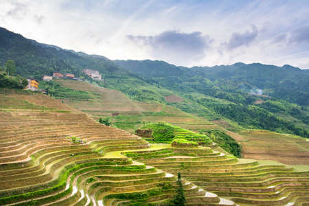 Terraced rice field in Longji, Guilin area, Guangxi Chinaの写真素材