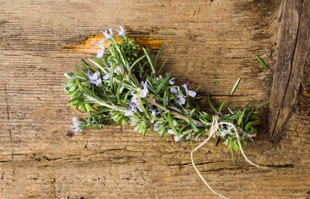 Rosemary plant bouquet on a rustic wooden tableの写真素材