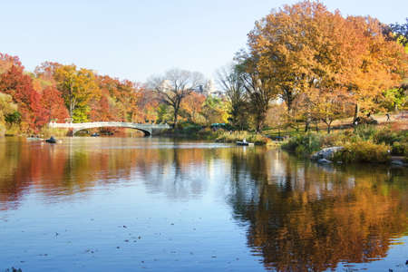 Peaceful autumn scene of Central park in New York, USAの写真素材