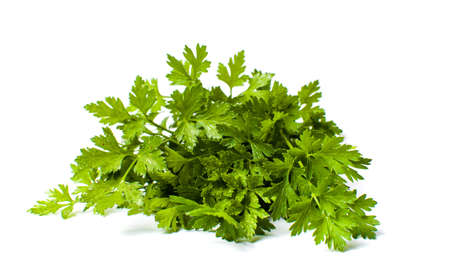 Parsley leaves bouquet isolated on white background