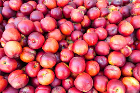 Bunch of fresh peaches on a pile backgroundの写真素材