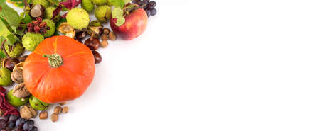 Pumpkin with hazelnuts, chestnuts and walnuts, autumn productsの写真素材