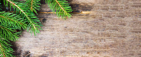 Pine tree branch on a rustic wooden background