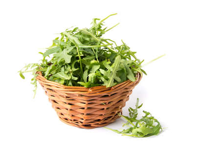 Rucola plant in a wicker bowl isolatedの写真素材