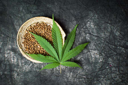 Cannabis seeds in a bowl on dark textured backgroundの写真素材
