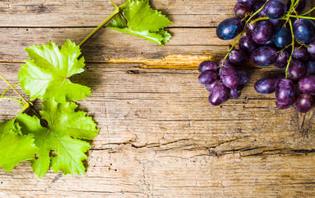 Purple grape on a rustic wooden backgroundの写真素材