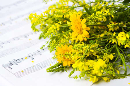 Yellow wildflowers arrangement on note sheet sampleの写真素材