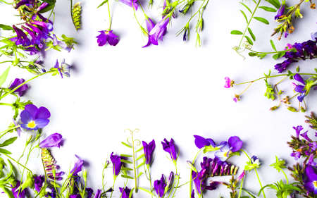 Wildflowers arrangement with copy space on white backgroundの写真素材