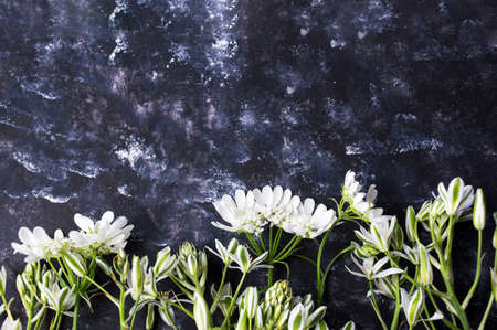 Fresh white wildflowers arrangement on black backgroundの写真素材