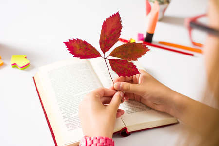 Girl using an autumn leaf as book marker pov