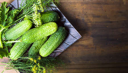 Fresh cucumbers on a rustic wooden tableの写真素材