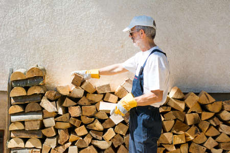 Man ordering firewood by the house