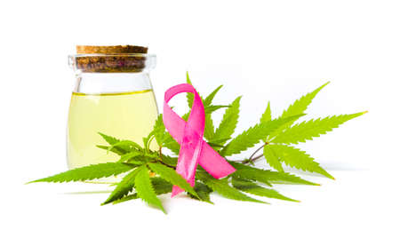Cannabis oil and Cancer awareness ribbon isolated on whiteの写真素材