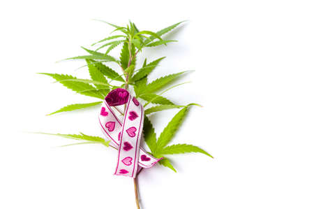 Marijuana leafs with Cancer awareness symbols made of ribbonsの写真素材