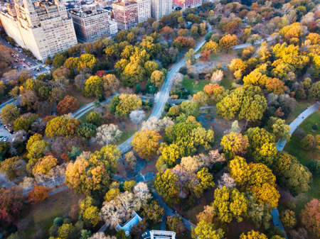 New York panorama shot from Central park, aerial view in autumn seasonの写真素材