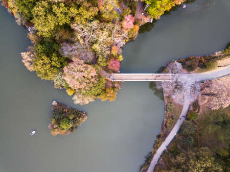 Aerial view of Central park lake in autumn. New york fallの写真素材