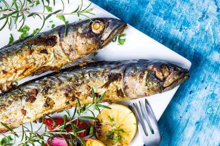 Roasted mackerel fish portion on a plate top viewの写真素材