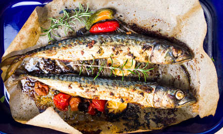 Roasted mackerel fish on a pan top viewの写真素材
